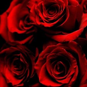 Meet your Posher, Destiny